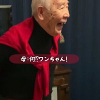 「わんこがいる！！」
