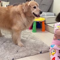 おからちゃんが登場