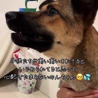 「子どもたちがいじめられている！」