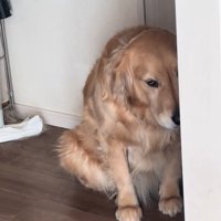 上目遣いのべるちゃん