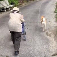 少し距離があくと…