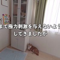 少しずつ慣れて行こう