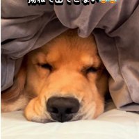 ふて寝モードに突入！？