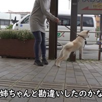 知らない人をお姉ちゃんだと勘違い！