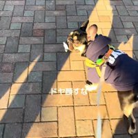 おしゃぶりを拾ったととまる君6