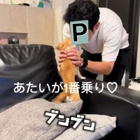 パパとの再会を喜ぶチャイちゃん