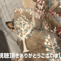 幸せそうな姿が愛おしい