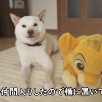 優しさにほっこり♪
