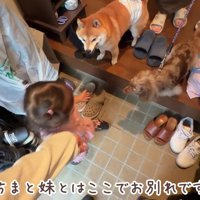 別れを告げて自宅へ