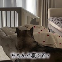 甲斐甲斐しい姿にホッコリ