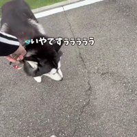 なんとか帰路へ