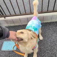 お散歩でもパワフル！！