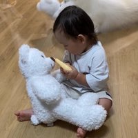 激しく遊ぶこはくちゃん