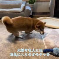 全身で喜びを表現