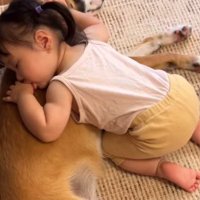 犬を寝かしつけたら…