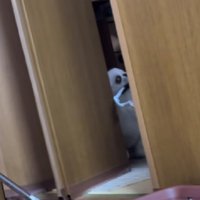 助走をつけることに