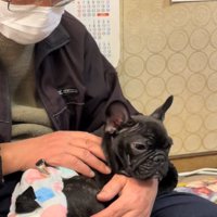 ぶーちゃんを抱きなおすおじいちゃん