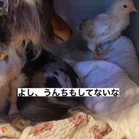 身の回りのお世話も！