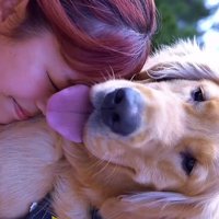 ゴールデンレトリバーの首元に顔を埋める女性