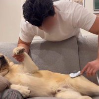 家に来たばかりのころ