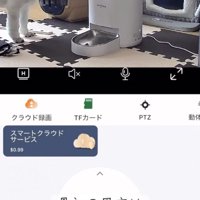 何かがおかしい…