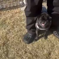 小さな子ども