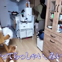 寂しそうなきなこちゃん