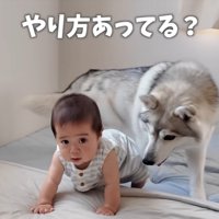 優しく見守るいちみちゃん
