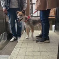 満足そうなお顔で帰宅♪