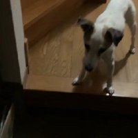 なかなか退院できない