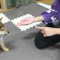 新しい家族との出会い