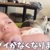 上手にスキンシップを取れるように