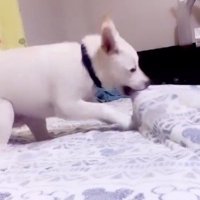 優しさが受け継がれる