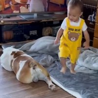 犬のあとを嬉しそうに追う子ども