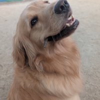 ニコニコ