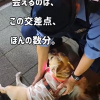 交番の警察官♡