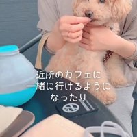 すいーぶ君の変化6