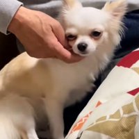 幸せそうなお顔♡