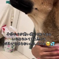 のんちゃんの様子がおかしい…