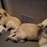 身を寄せ合う姿に胸が痛む