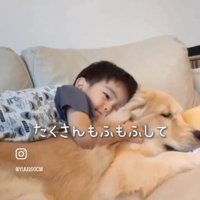 エルくんの上に乗るていちゃん