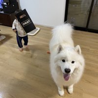 熊