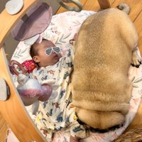 強引に添い寝するもち丸くん