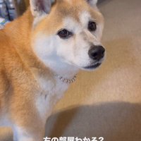 「お茶、持ってこれる？」