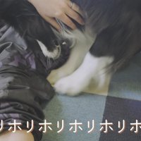 「遊ぼうよ！」と床をホリホリ