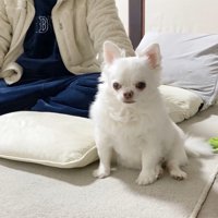 「ママがいないと寂しい…」としょんぼり