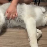撫でて