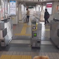 テンちゃんの背中が切ない…