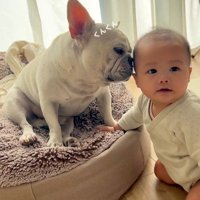 匂いを嗅ぎ始めました♪