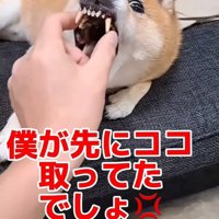 ついに逆ギレ！